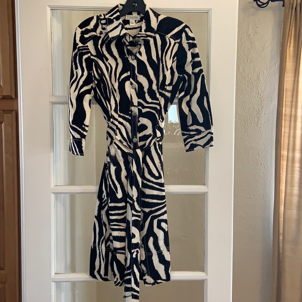 Animal print silk dress (office to cocktails)
